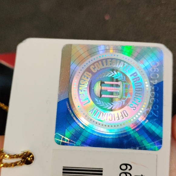 University of SC Columbia licensed owl hanging ornament - Picture 10 of 14